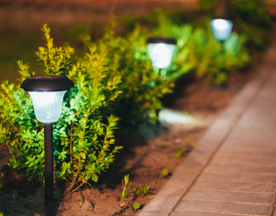 Image of tec nut single websites demo Outdoor Lighting Get a new company website with: Free Company Website, site for small business, Hosting, earn money online, website builder, small business website, business on web, Website Templates, Free Website, Easy Website, WordPress